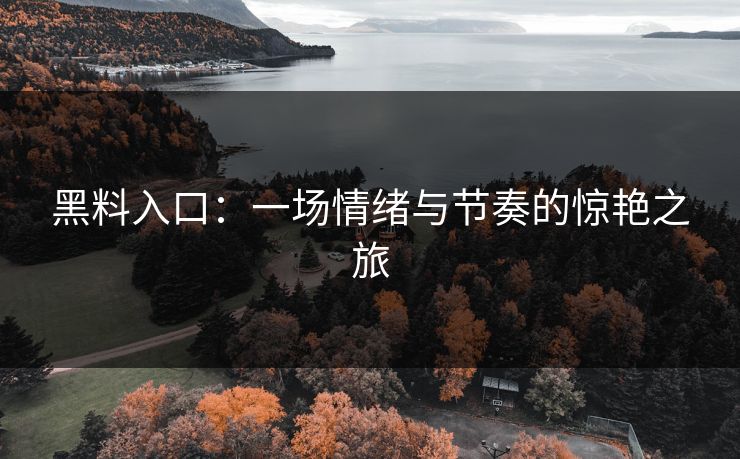 黑料入口:一场情绪与节奏的惊艳之旅 黑料入口:一场情绪与节奏的惊艳之旅